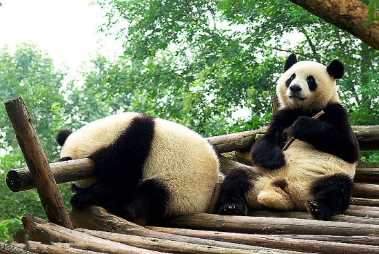 清明過后去哪玩 4月國(guó)內(nèi)抄底游推薦 清明過后去哪玩 4月國(guó)內(nèi)抄底游推薦