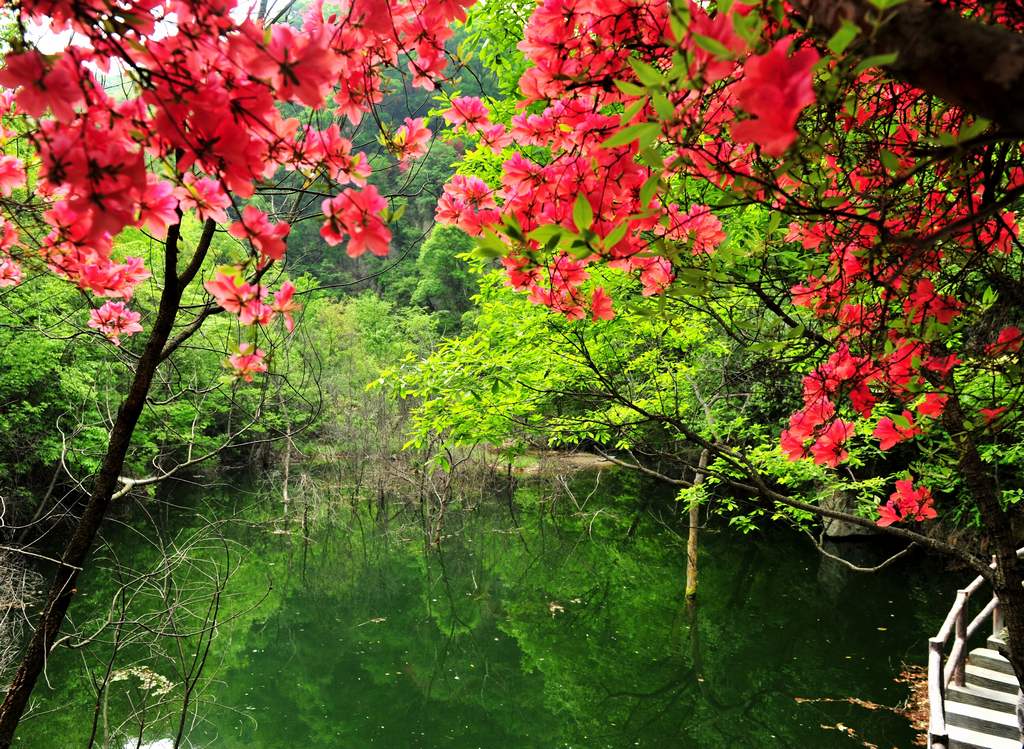 母親節(jié)河南景區(qū)優(yōu)惠大波來襲！