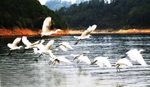 考完去哪兒？千島湖中、高考生門票大優(yōu)惠！