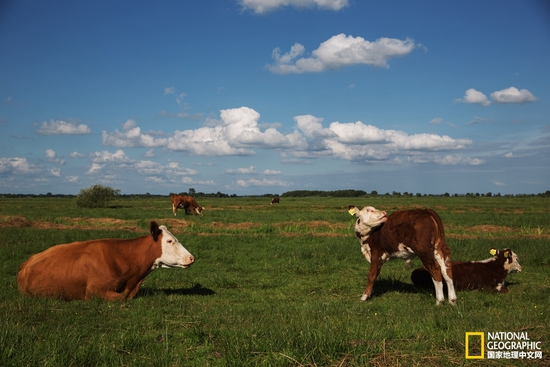 羊角村:童話般的中世紀(jì)村落