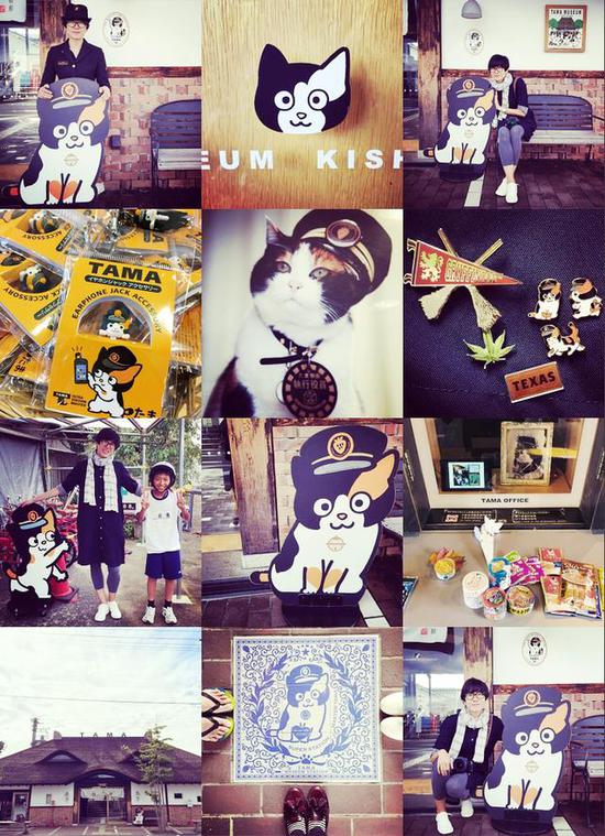 全球最萌車站 站長是只貓 全球最萌車站 站長是只貓