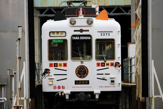 全球最萌車站 站長是只貓 全球最萌車站 站長是只貓