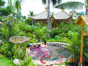 溫泉區(qū)樹(shù)木蔥蔥。