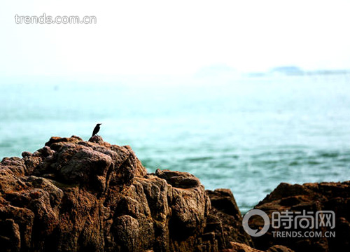 “騎”樂無窮 海岸線騎行不挑車型只挑心情 “騎”樂無窮 海岸線騎行不挑車型只挑心情