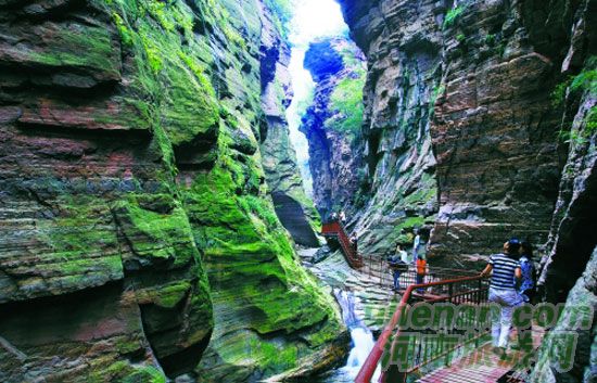 龍?zhí)洞髰{谷享巨惠清涼大餐 龍?zhí)洞髰{谷享巨惠清涼大餐