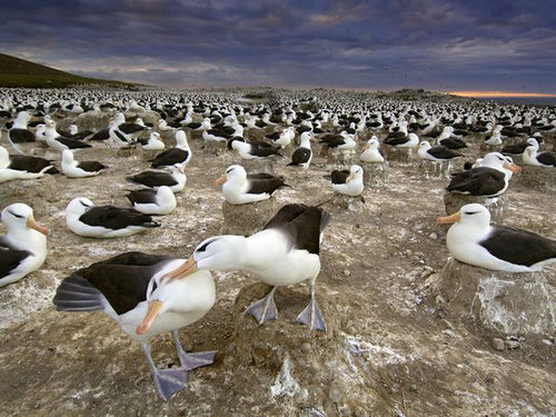 圣誕私奔 海洋小島上過(guò)假期 圣誕私奔 海洋小島上過(guò)假期