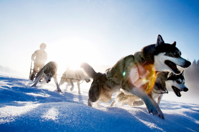 冬季貝加爾,適合享受冰上運(yùn)動(dòng),狗拉雪橇、雪上摩托車、雪地徒步等都是不錯(cuò)的選擇 F5.6,1/115秒