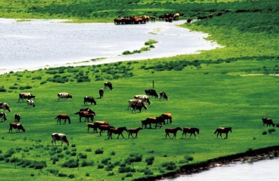 　　處處翠色欲流,馬兒自然入畫?！? complete=