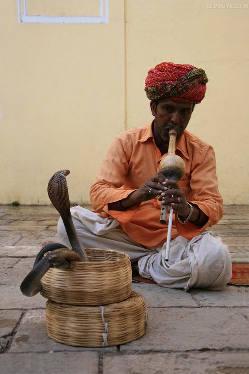 蛇舞翩翩 秘技行者游走恒河之畔 蛇舞翩翩 秘技行者游走恒河之畔