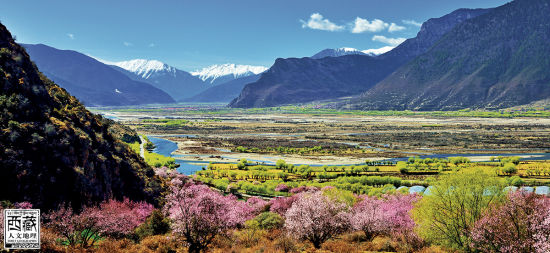 盛開在峽谷中的桃花 盛開在峽谷中的桃花