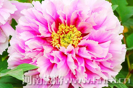 春回大地宜出行 踏青怎樣更舒心 春回大地宜出行 踏青怎樣更舒心