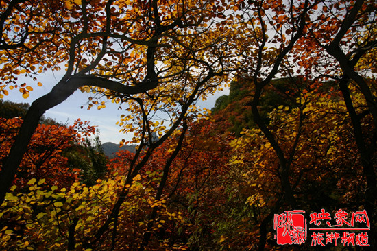 2013第七屆中國(guó)·邢臺(tái)九龍峽金秋紅葉節(jié)