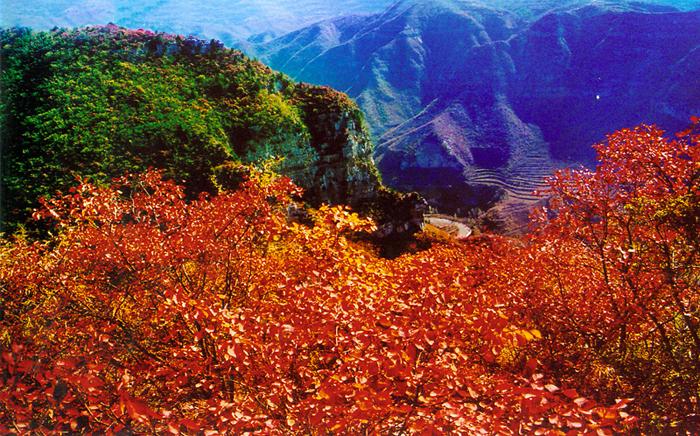 坐豪華游船惠游青天河 紅葉最后觀賞期莫錯(cuò)過(guò) 坐豪華游船惠游青天河 紅葉最后觀賞期莫錯(cuò)過(guò)