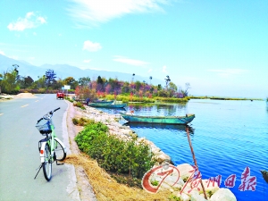 洱海的藍讓人沉醉。