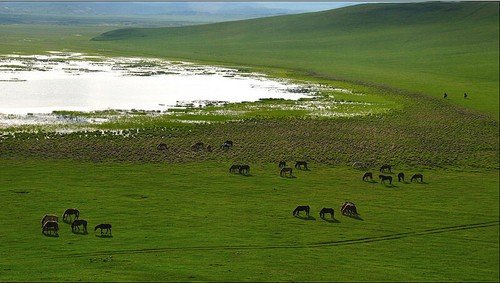 10處賞春采風(fēng)地 拍出2013年的明媚春光 10處賞春采風(fēng)地 拍出2013年的明媚春光