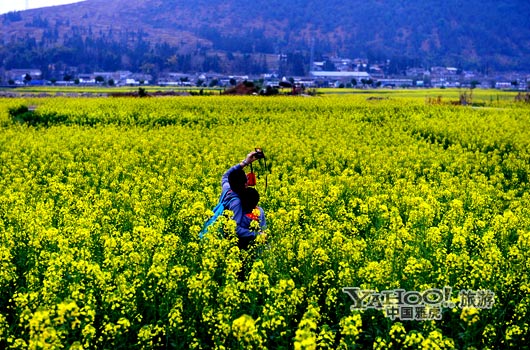 　　不論從人文氣息還是田園自然風光,都值得我們?？?。(圖片來源:CFP)