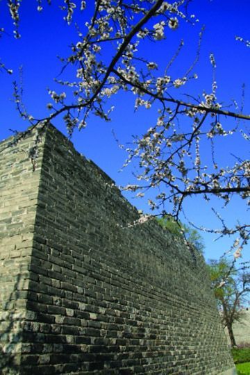 春暖花開(kāi)時(shí) 春暖花開(kāi)時(shí)