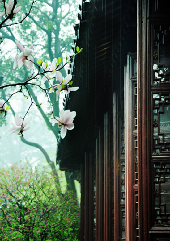 煙雨姑蘇城 煙雨姑蘇城