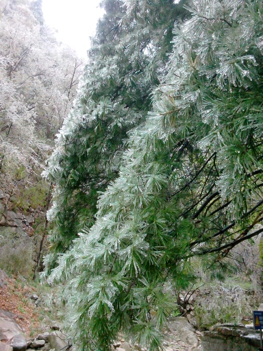 陽春三月 在龍峪灣做一回“冰山上的來客” 陽春三月 在龍峪灣做一回“冰山上的來客”