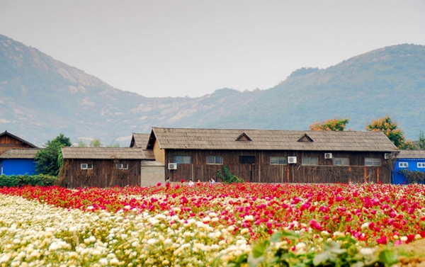 別樣蜜月，河南最適宜新婚度假的景區(qū)