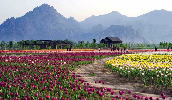 別樣蜜月，河南最適宜新婚度假的景區(qū)