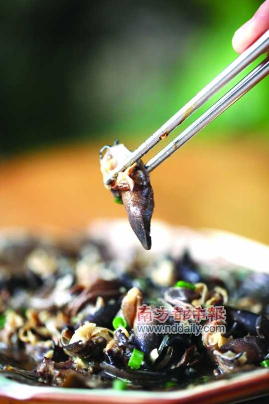 蒜蓉粉絲蒸蝸牛。