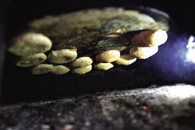 吊爐燒餅是黃驊最典型的面食之一，這種手藝在一些老院子里已經(jīng)傳承了上百年時(shí)間。