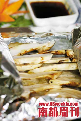 云南山林里松茸肥嫩喜人 云南山林里松茸肥嫩喜人