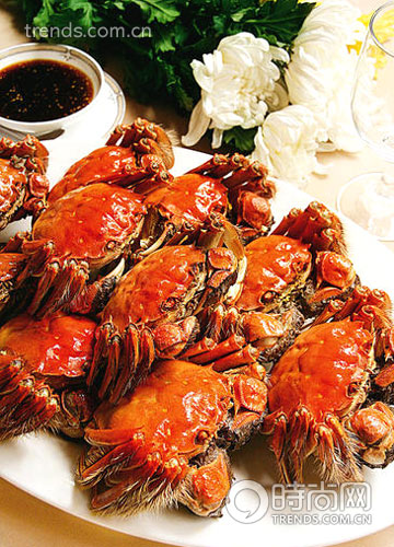 美味代名詞 品蟹旅行專(zhuān)家 美味代名詞 品蟹旅行專(zhuān)家