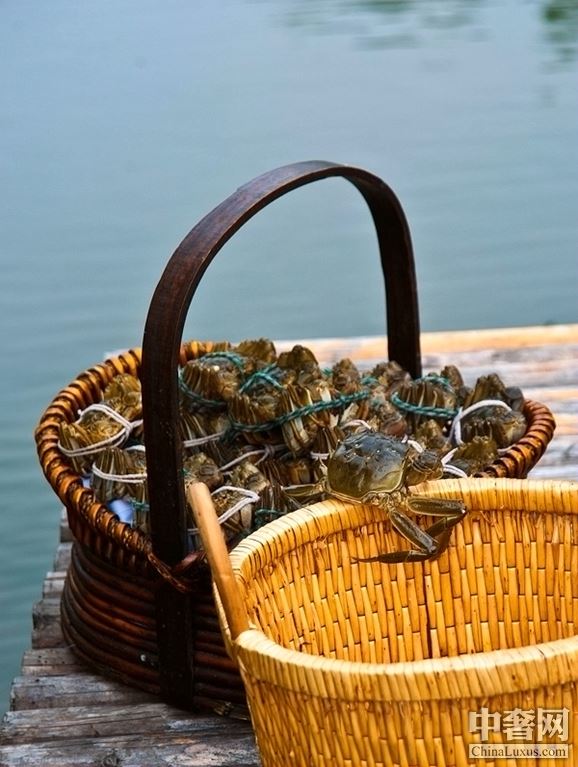 陽澄湖滋味“蟹”逅 費(fèi)爾蒙嘗盡時(shí)令大閘蟹 陽澄湖滋味“蟹”逅 費(fèi)爾蒙嘗盡時(shí)令大閘蟹