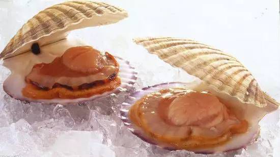 秋季最適合吃的海鮮是這10種 你吃對了嗎？