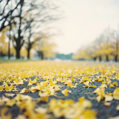 金牛座的愛(ài)情弱勢(shì) 金牛座的愛(ài)情弱勢(shì)