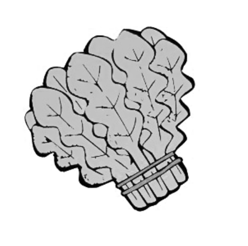 雪后菜價(jià)瘋漲15倍？沒恁夸張 元旦豬肉雞蛋或漲價(jià)