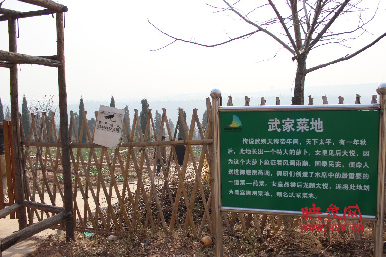 武家菜地就是這，據(jù)說(shuō)里面有個(gè)特大的蘿卜