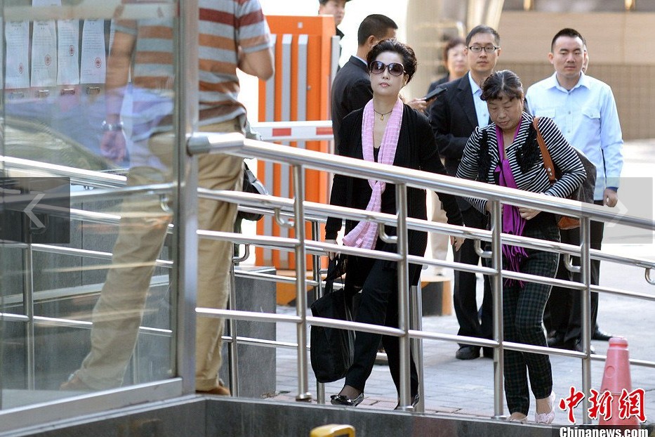 夢鴿現(xiàn)身海淀法院。中新網(wǎng)記者 金碩 攝