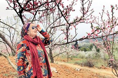 公式“時尚奶奶”的賞花照，收獲了好多人的點(diǎn)贊。 受訪者供圖