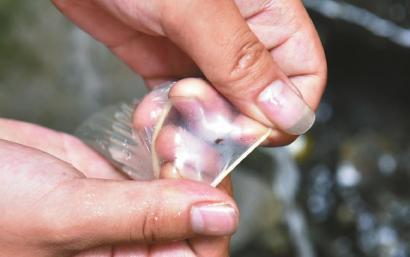 避孕套存在小孔。