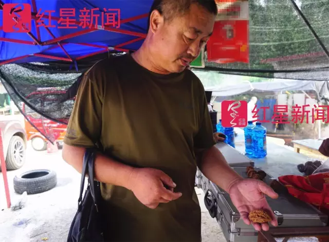 文玩核桃遇冷由幾萬一對降到5元沒人要？商戶否認