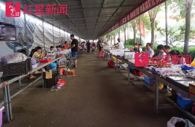 文玩核桃遇冷由幾萬一對降到5元沒人要？商戶否認