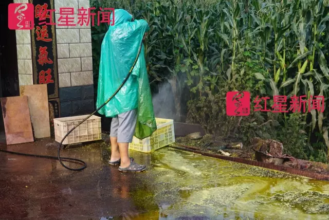 文玩核桃遇冷由幾萬一對降到5元沒人要？商戶否認