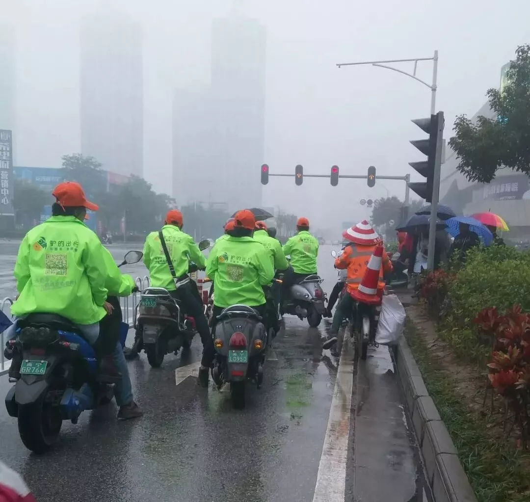 出門打驢？ 南寧“滴滴打驢”被緊急叫停