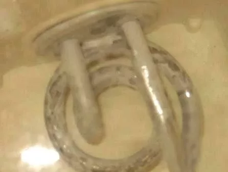 太惡心！女游客竟用酒店燒水壺煮自己的臟內(nèi)褲