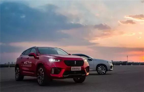 去年“蹦”出來(lái)的新汽車品牌們，現(xiàn)在活得怎么樣了？