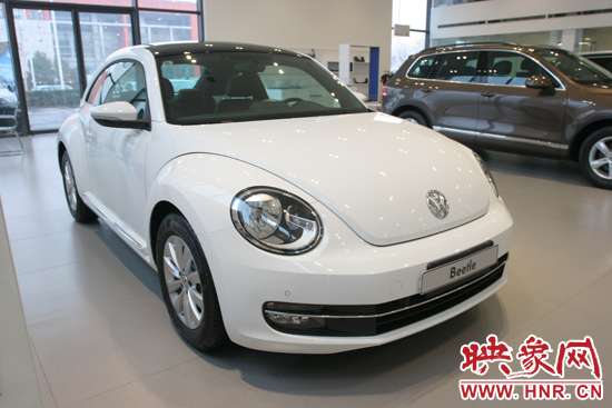 甲殼蟲(chóng) 甲殼蟲(chóng)