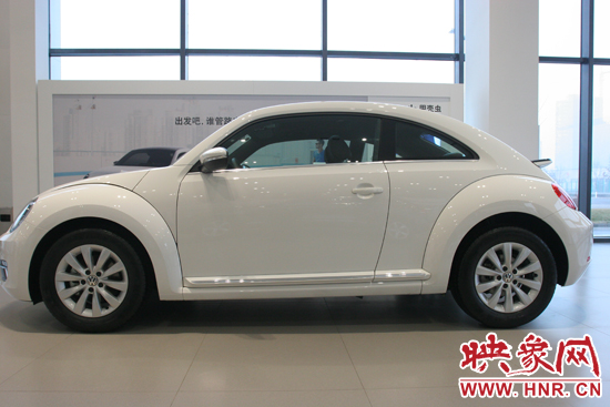 甲殼蟲(chóng) 甲殼蟲(chóng)