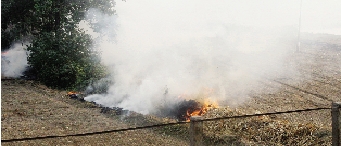 鄭州深陷“霾”伏   都是燒秸稈惹的禍？