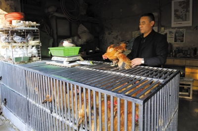 南京另一家農(nóng)貿(mào)市場(chǎng)內(nèi)待售的活雞。因南京出現(xiàn)H7N9禽流病例，買(mǎi)活雞的顧客減少。