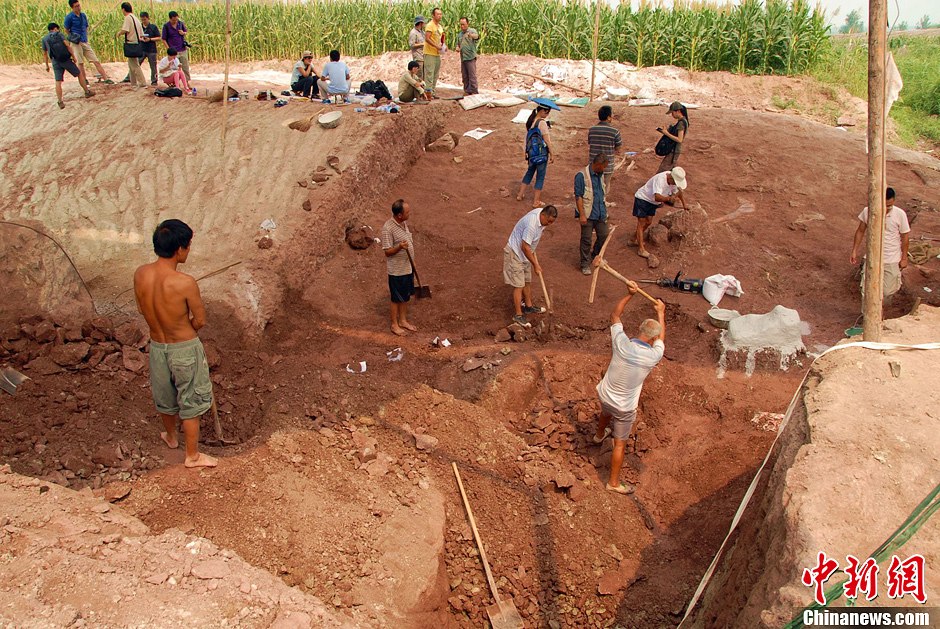 恐龍化石發(fā)掘現(xiàn)場。 恐龍化石發(fā)掘現(xiàn)場。