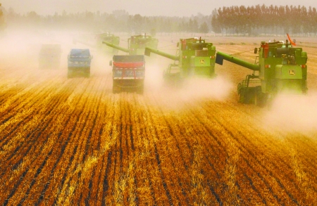 田里，一臺臺收割機(jī)唱著豐收歌。