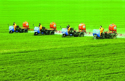 車載噴霧機(jī)奔駛在萬畝高產(chǎn)田里。